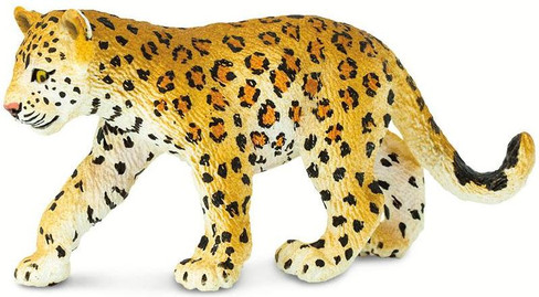 Yellow Leopard fam2 』by Zuberi 30*40cm Two Rare Leopard Cubs Born