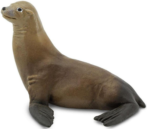Seal, Sea Lion & Walrus Figures - Marine Mammal Toys