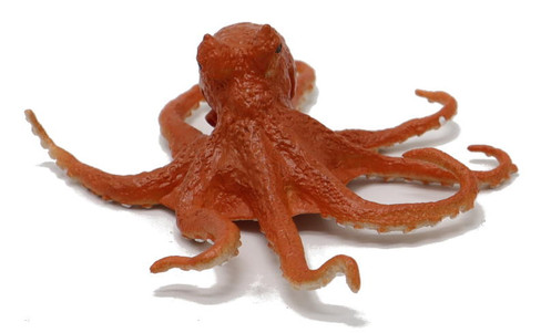 Octopus (Safari Ltd)