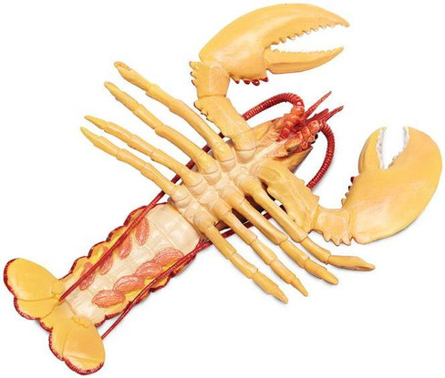 Safari Ltd. - Spiny Lobster #100076 - Oversized Crustacean