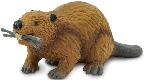 Beaver (Safari Ltd.)