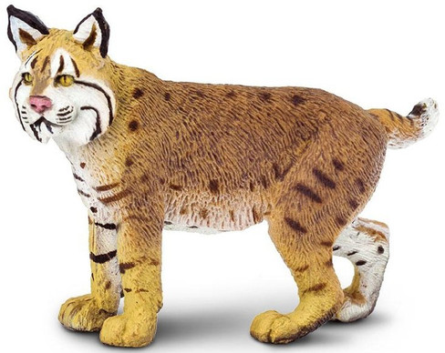 Bobcat (Safari Ltd.)