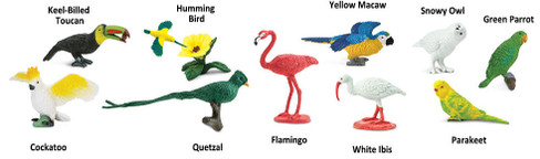 Backyard Birds Toob by Safari Ltd. 678304 - TOOB Collection