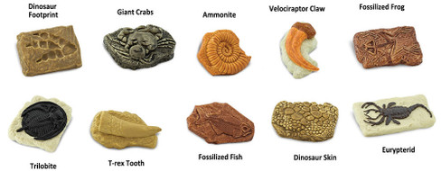 Ancient Fossils Toob (Safari Ltd.)