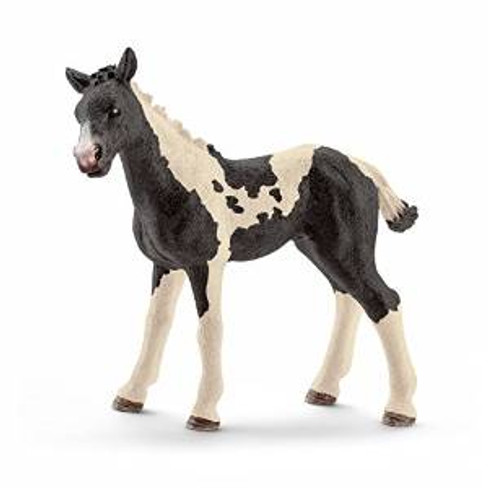 Pinto Foal (Schleich)