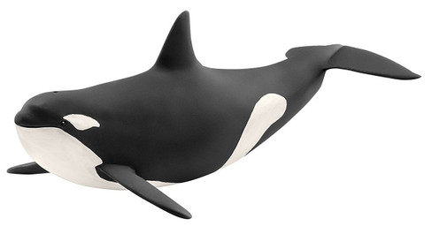 Animal Adventure Killer Whale Parent and Child (Floating Ver