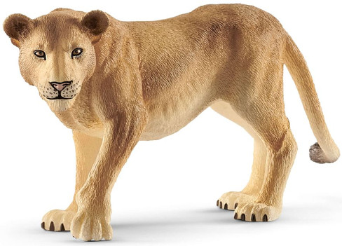 Mojo Lioness New 2025 #381071