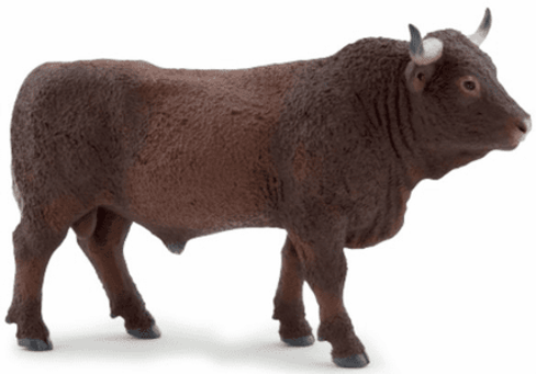 Salers Bull (Papo)