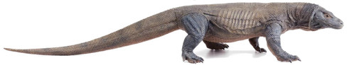 Lizard - Komodo Dragon - 1:6 Scale (REBOR)