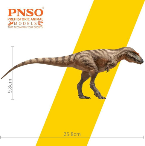 Gorgosaurus - Tristan (PNSO)