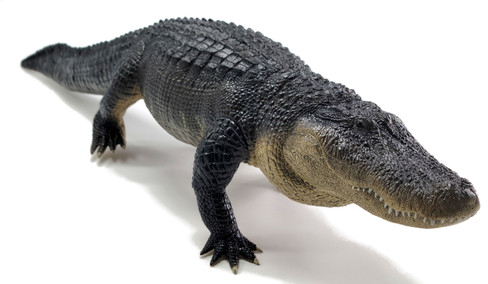 Rebor Adult Deinosuchus Models