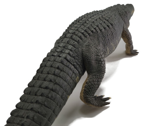 Alligator - American - Bizkit - Basking 1:6 Model (REBOR)