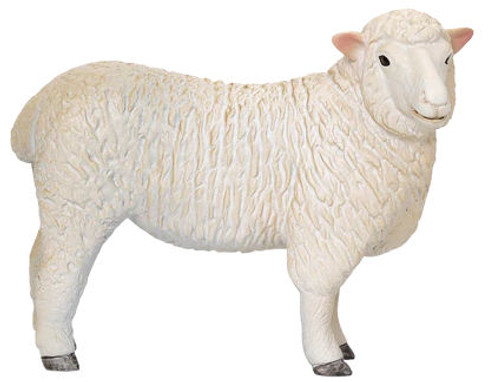 Sheep - Romney Ewe (Mojo)