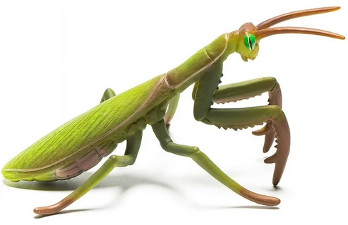 Praying Mantis (CollectA)