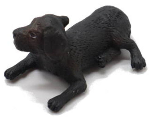 CollectA Dogs - Rottweiler Puppy 88190 - goofy Looking