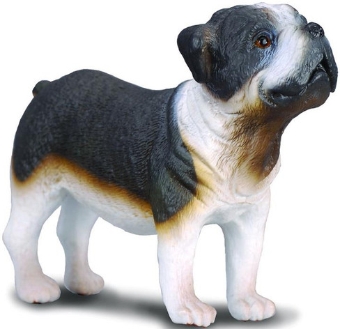 Dog - Bull Dog (CollectA)