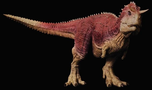 REBOR Products - Happy Hen Toys, Ltd.