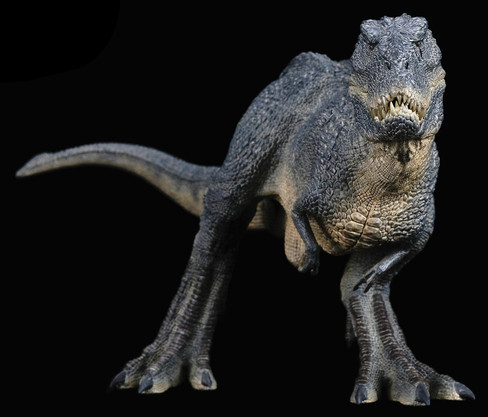 REBOR Products - Happy Hen Toys, Ltd.