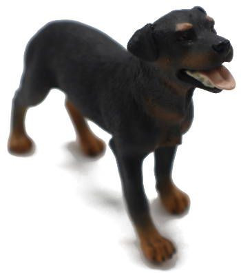 CollectA Dogs - Rottweiler Puppy 88190 - goofy Looking