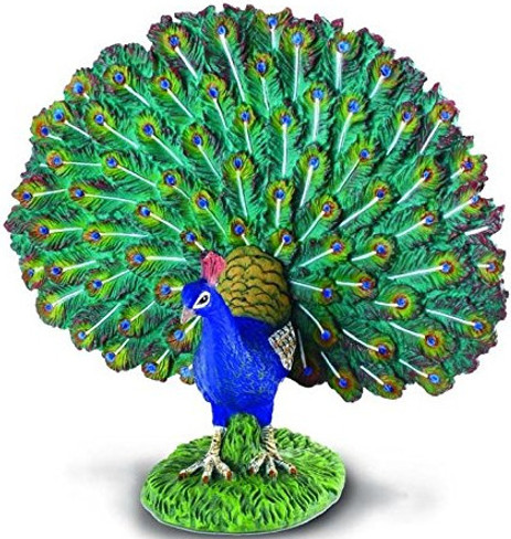 Peacock (CollectA)