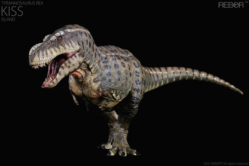 Rebor Tyrannosaurus rex - KISS Island #161175 - Hero Image Rebor Tyrannosaurus rex - KISS Island #161175 - Hero Image