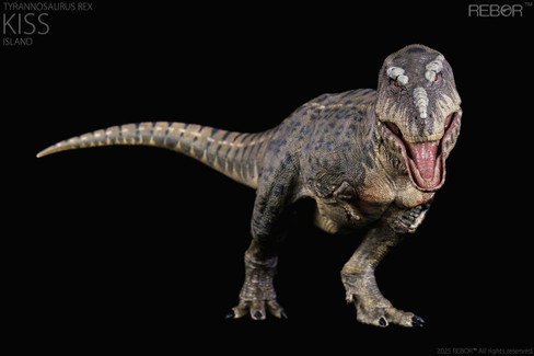 Rebor Tyrannosaurus rex - KISS Island #161175 - Side View Rebor Tyrannosaurus rex - KISS Island #161175 - Side View