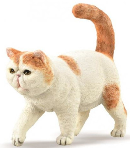 CollectA Exotic Shorthair Cat #88937 hero image CollectA Exotic Shorthair Cat #88937 hero image