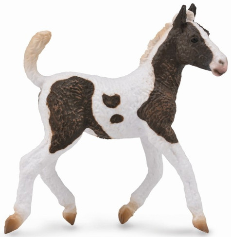 CollectA American Bashkir Curly Foal #88781 - Manufacturer Hero Image CollectA American Bashkir Curly Foal #88781 - Manufacturer Hero Image