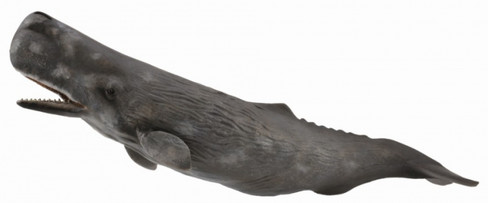CollectA Sperm Whale #88835 - Manufacturer Hero Image CollectA Sperm Whale #88835 - Manufacturer Hero Image