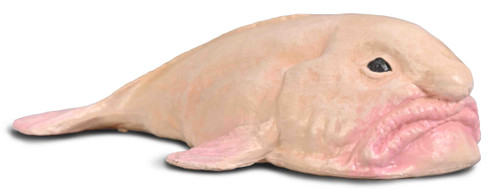 CollectA Blobfish #80037 - Manufacturer Hero Image CollectA Blobfish #80037 - Manufacturer Hero Image