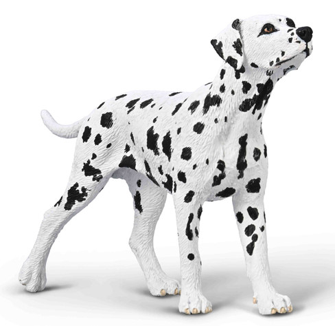 CollectA Dalmatian #80040 hero image CollectA Dalmatian #80040 hero image
