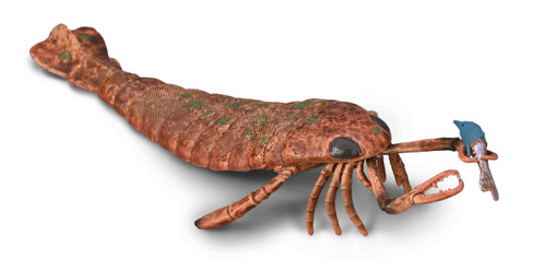 CollectA Jaekelopterus with Prey 1:20 Scale #80030 Hero Image CollectA Jaekelopterus with Prey 1:20 Scale #80030 Hero Image