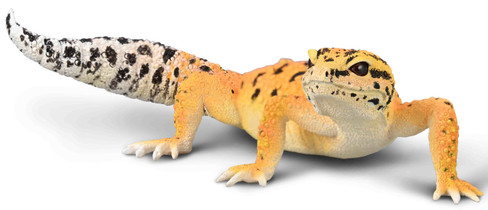 CollectA Leopard Gecko #80043 Manufacturer Hero Image CollectA Leopard Gecko #80043 Manufacturer Hero Image