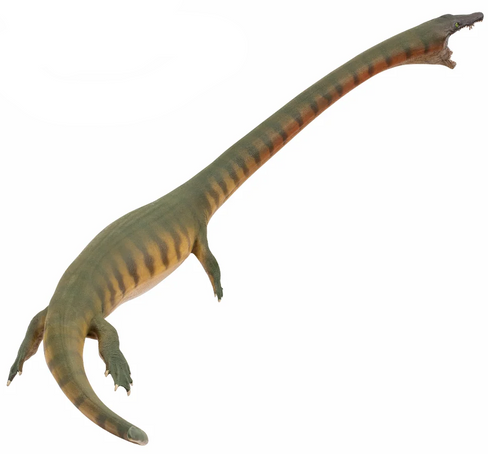 PNSO Xiaochong the Dinocephalosaurus #91 Manufacturer Hero Image PNSO Xiaochong the Dinocephalosaurus #91 Manufacturer Hero Image