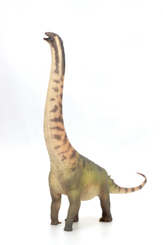 PNSO Huigui the Hongkongsaurus #318 side view angle image PNSO Huigui the Hongkongsaurus #318 side view angle image