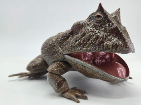REBOR Beelzebufo cornuta “Little Feet” Rainforest Version #161199 side view mouth open REBOR Beelzebufo cornuta “Little Feet” Rainforest Version #161199 side view mouth open