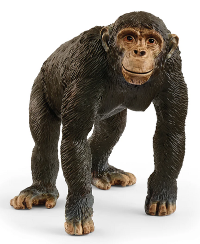 Schleich Chimpanzee #14883 manufacturer hero image Schleich Chimpanzee #14883 manufacturer hero image