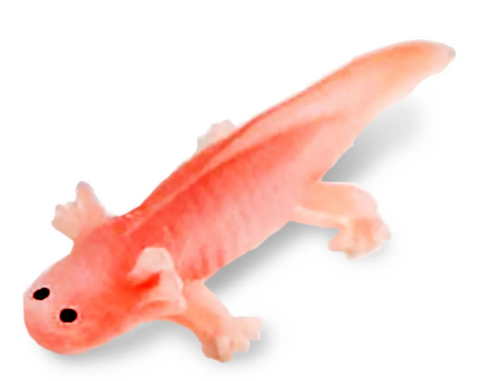 Safari Ltd. - Axolotls Good luck Mini #106196 hero image Safari Ltd. - Axolotls Good luck Mini #106196 hero image
