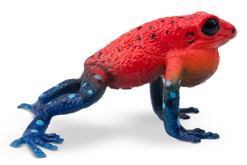 Strawberry Poison-Dart Frog #00388 side image