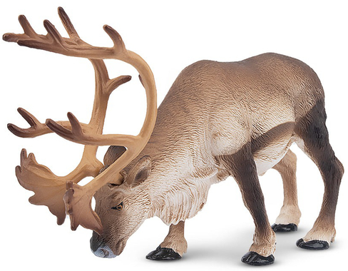 Toymany - Caribou  #00362 Hero image