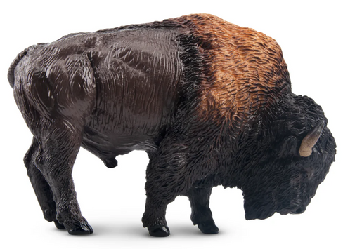 Toymany American Bison #00322 Hero Image