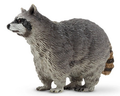 Toymany - Raccoon #00323 hero image