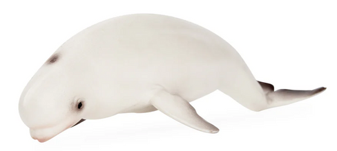 Toymany - Beluga #00366 Hero Image