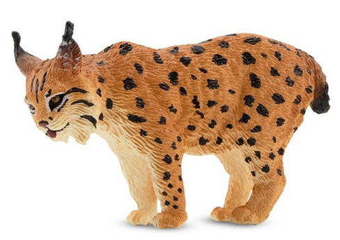 Toymany - Lynx #00324 Hero Image