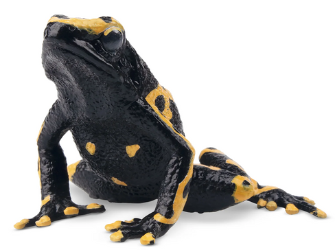 Toymany - Yellow-banded Poison-dart Frog #00394 hero image