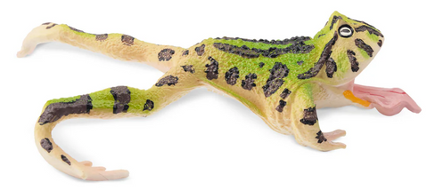 Toymany - Surinam Horned Frog #00383 side image