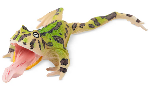 Toymany - Surinam Horned Frog #00383 hero image