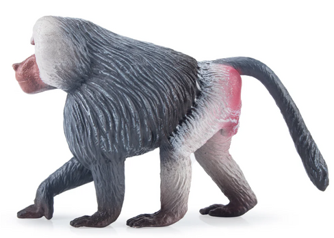 Toymany - Hamadrayas Baboon #00441 - Side View Image
