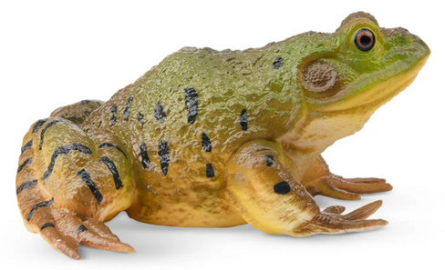 Toymany - American Bullfrog #00387 side image