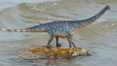 Haolonggood Diplodocus - Ma Lin #168A image scenic view